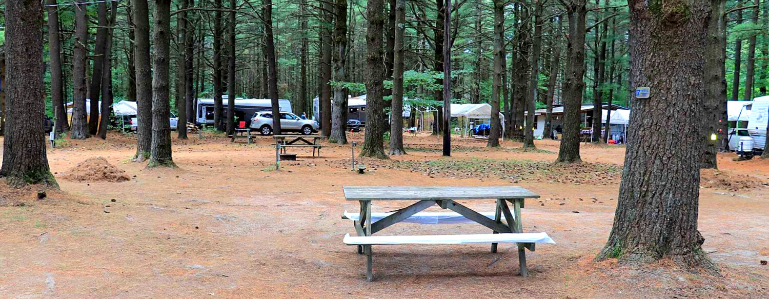 picnic table at campsite
