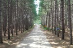 Enterance